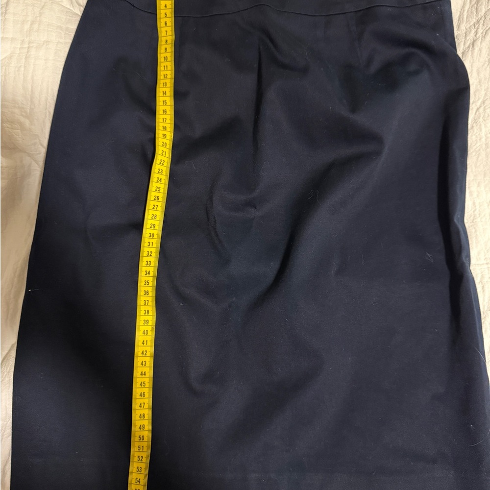 Ann Taylor Midnight Skirt